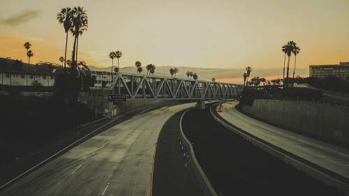 palm tree two gray concrete roads under gray truss bridge during sunset freeway
